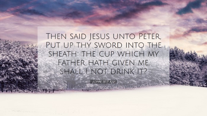 Picture 07 - John 18:11 KJV Desktop Wallpaper - Then said Jesus unto Peter, Put up thy sword into - Desktop Bible Verse Wallpaper