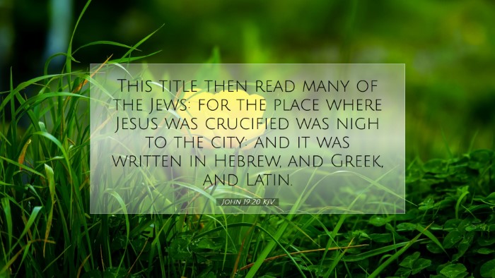 Picture 07 - John 19:20 KJV Desktop Wallpaper - This title then read many of the Jews: for the - Desktop Bible Verse Wallpaper