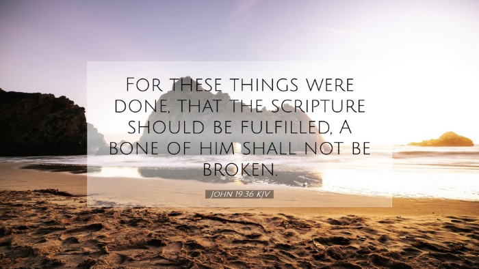 Picture 07 - John 19:36 KJV Desktop Wallpaper - For these things were done, that the scripture - Desktop Bible Verse Wallpaper
