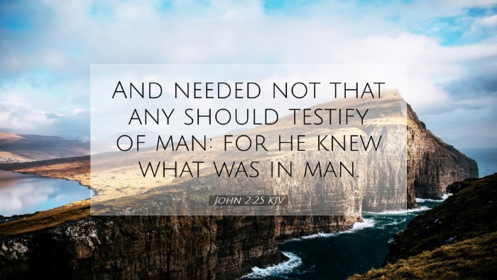 Picture 07 - John 2:25 KJV Desktop Wallpaper - And needed not that any should testify of man: - Desktop Bible Verse Wallpaper