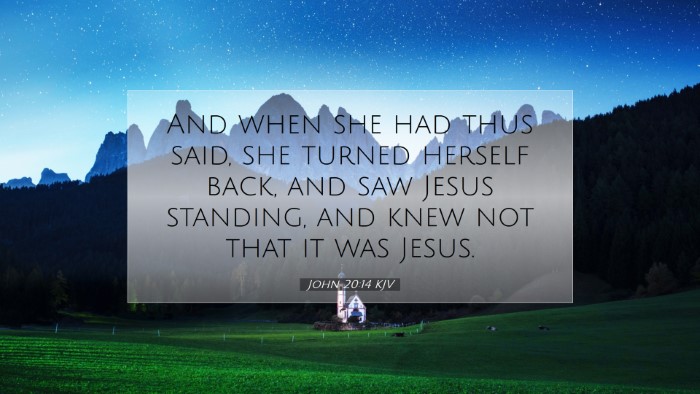 Picture 07 - John 20:14 KJV Desktop Wallpaper - And when she had thus said, she turned herself - Desktop Bible Verse Wallpaper