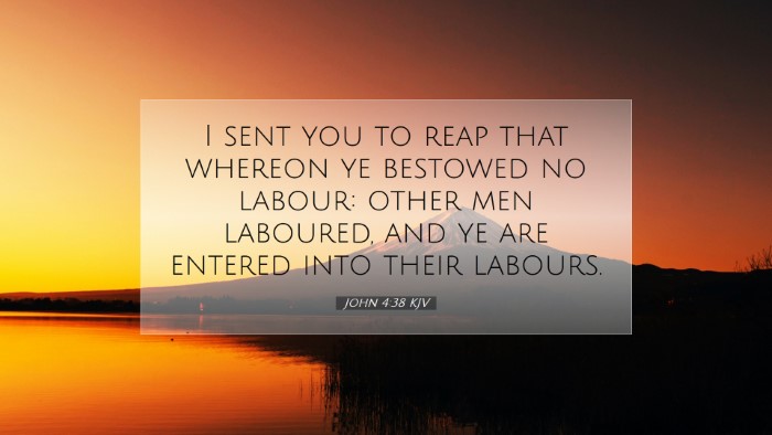Picture 07 - John 4:38 KJV Desktop Wallpaper - I sent you to reap that whereon ye bestowed no - Desktop Bible Verse Wallpaper