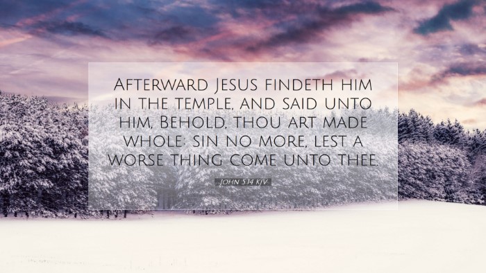 Picture 07 - John 5:14 KJV Desktop Wallpaper - Afterward Jesus findeth him in the temple, and - Desktop Bible Verse Wallpaper