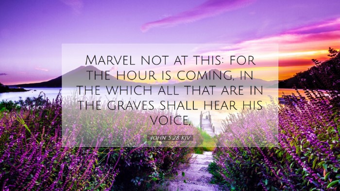 Picture 07 - John 5:28 KJV Desktop Wallpaper - Marvel not at this: for the hour is coming, in - Desktop Bible Verse Wallpaper