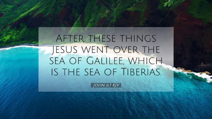 Picture 07 - John 6:1 KJV Desktop Wallpaper - After these things Jesus went over the sea of - Desktop Bible Verse Wallpaper