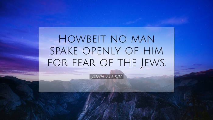 Picture 07 - John 7:13 KJV Desktop Wallpaper - Howbeit no man spake openly of him for fear of - Desktop Bible Verse Wallpaper