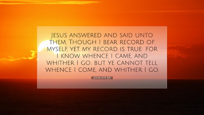 Picture 07 - John 8:14 KJV Desktop Wallpaper - Jesus answered and said unto them, Though I bear - Desktop Bible Verse Wallpaper