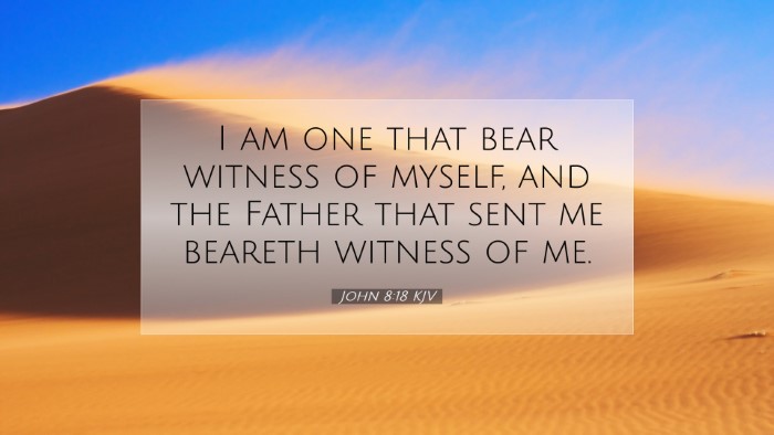 Picture 07 - John 8:18 KJV Desktop Wallpaper - I am one that bear witness of myself, and the - Desktop Bible Verse Wallpaper