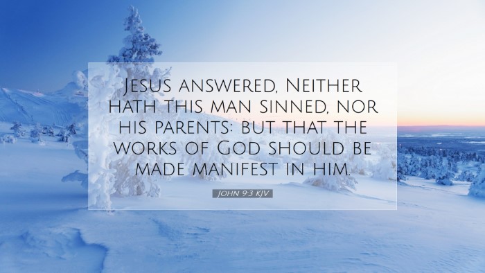 Picture 07 - John 9:3 KJV Desktop Wallpaper - Jesus answered, Neither hath this man sinned, nor - Desktop Bible Verse Wallpaper