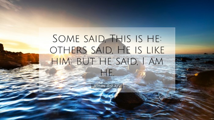 Picture 07 - John 9:9 KJV Desktop Wallpaper - Some said, This is he: others said, He is like - Desktop Bible Verse Wallpaper