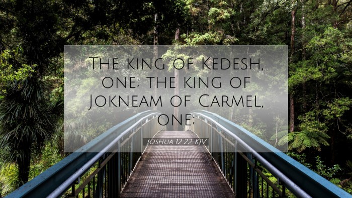 Picture 07 - Joshua 12:22 KJV Desktop Wallpaper - The king of Kedesh, one; the king of Jokneam of - Desktop Bible Verse Wallpaper