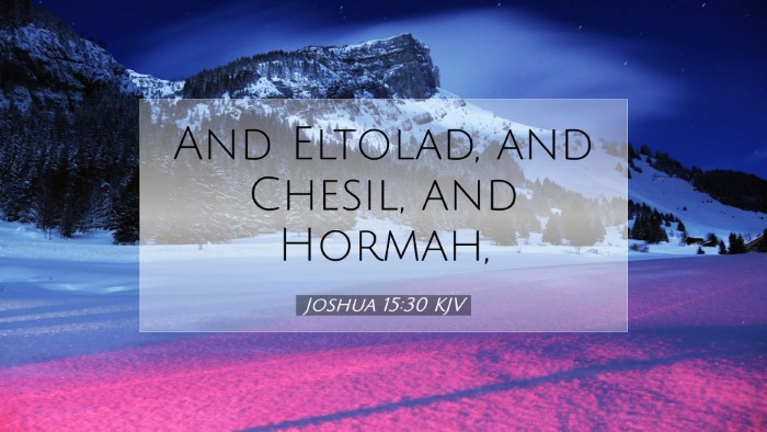 Picture 07 - Joshua 15:30 KJV Desktop Wallpaper - And Eltolad, and Chesil, and - Desktop Bible Verse Wallpaper