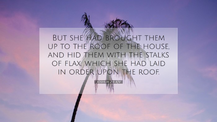 Picture 07 - Joshua 2:6 KJV Desktop Wallpaper - But she had brought them up to the roof of the - Desktop Bible Verse Wallpaper