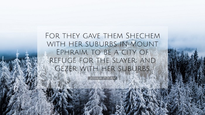 Picture 07 - Joshua 21:21 KJV Desktop Wallpaper - For they gave them Shechem with her suburbs in - Desktop Bible Verse Wallpaper