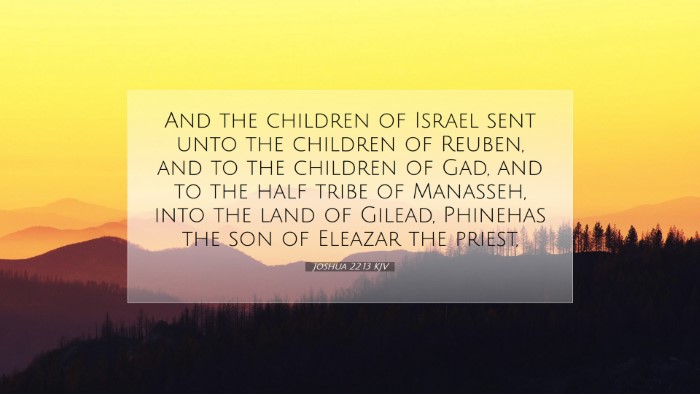 Picture 07 - Joshua 22:13 KJV Desktop Wallpaper - And the children of Israel sent unto the children - Desktop Bible Verse Wallpaper