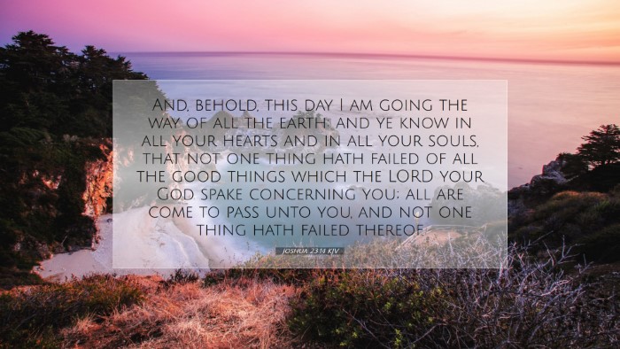 Picture 07 - Joshua 23:14 KJV Desktop Wallpaper - And, behold, this day I am going the way of all - Desktop Bible Verse Wallpaper