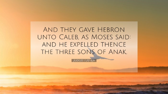 Picture 07 - Judges 1:20 KJV Desktop Wallpaper - And they gave Hebron unto Caleb, as Moses said: - Desktop Bible Verse Wallpaper