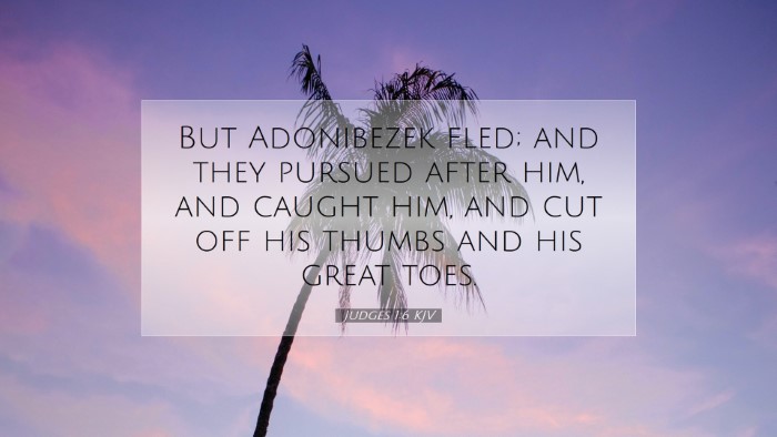 Picture 07 - Judges 1:6 KJV Desktop Wallpaper - But Adonibezek fled; and they pursued after him, - Desktop Bible Verse Wallpaper