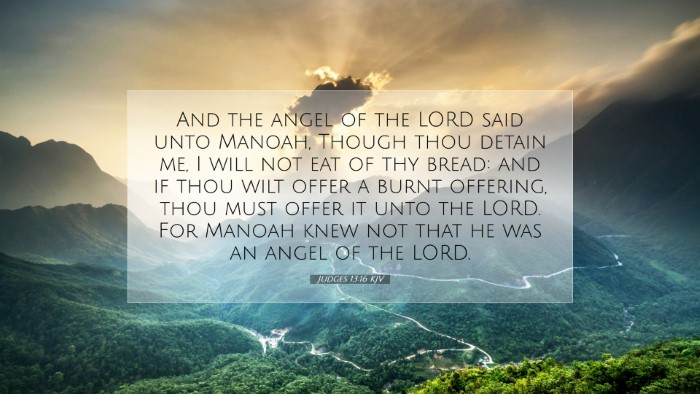 Picture 07 - Judges 13:16 KJV Desktop Wallpaper - And the angel of the LORD said unto Manoah, - Desktop Bible Verse Wallpaper