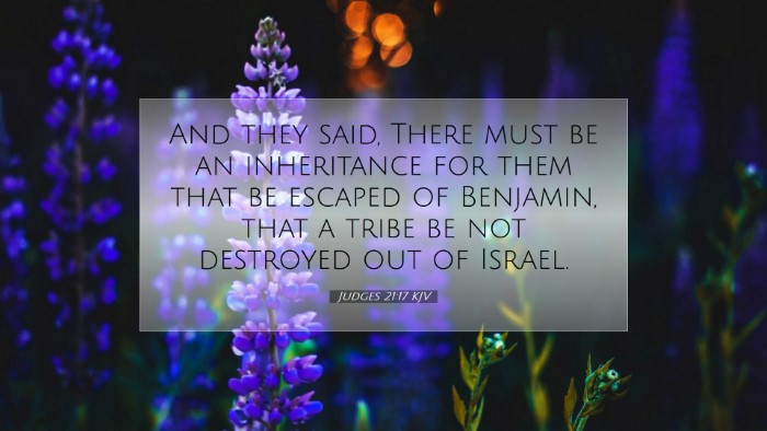 Picture 07 - Judges 21:17 KJV Desktop Wallpaper - And they said, There must be an inheritance for - Desktop Bible Verse Wallpaper