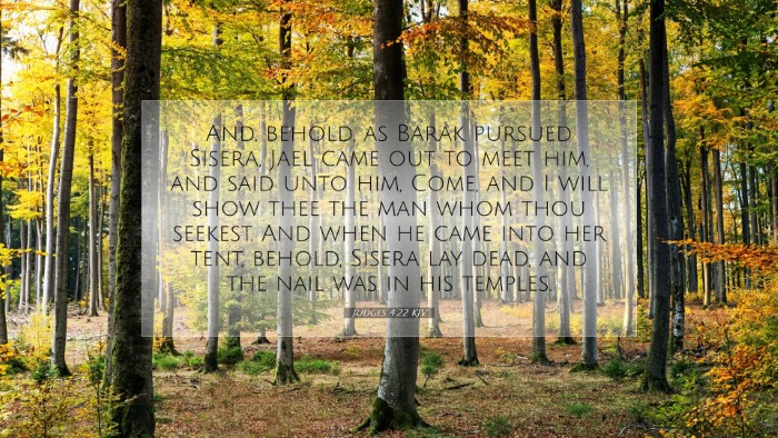 Picture 07 - Judges 4:22 KJV Desktop Wallpaper - And, behold, as Barak pursued Sisera, Jael came - Desktop Bible Verse Wallpaper