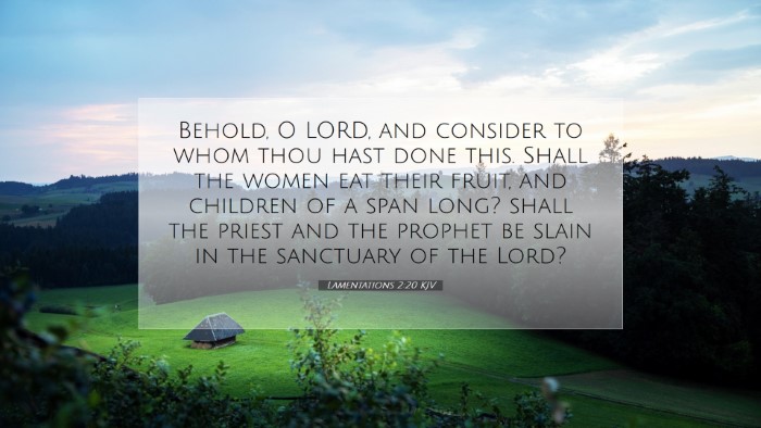 Picture 07 - Lamentations 2:20 KJV Desktop Wallpaper - Behold, O LORD, and consider to whom thou hast - Desktop Bible Verse Wallpaper
