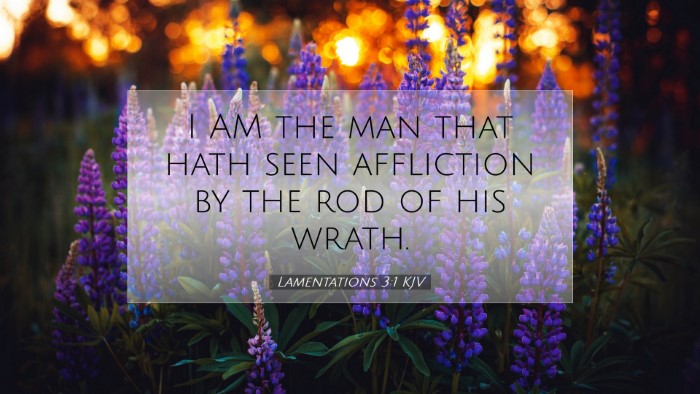 Picture 07 - Lamentations 3:1 KJV Desktop Wallpaper - I AM the man that hath seen affliction by the rod - Desktop Bible Verse Wallpaper