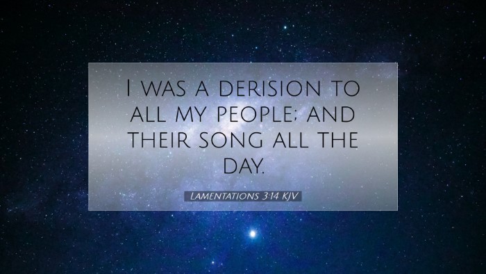 Picture 07 - Lamentations 3:14 KJV Desktop Wallpaper - I was a derision to all my people; and their song - Desktop Bible Verse Wallpaper