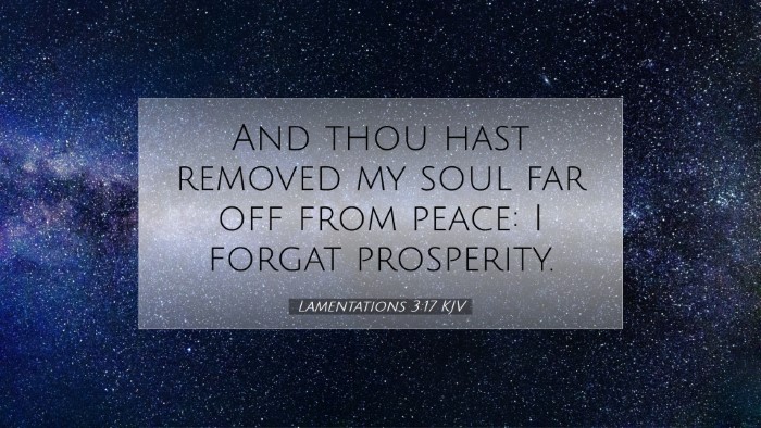 Picture 07 - Lamentations 3:17 KJV Desktop Wallpaper - And thou hast removed my soul far off from peace: - Desktop Bible Verse Wallpaper