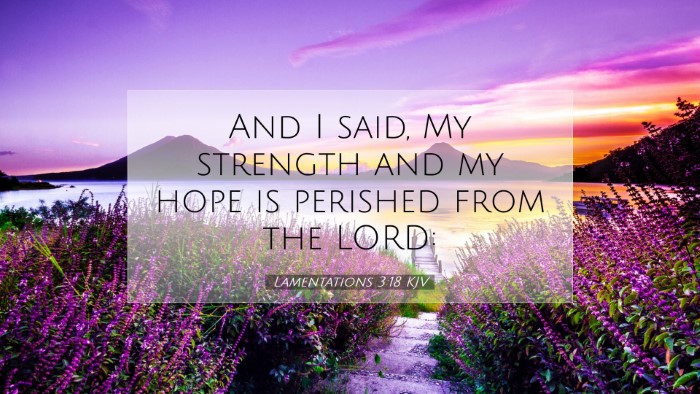 Picture 07 - Lamentations 3:18 KJV Desktop Wallpaper - And I said, My strength and my hope is perished - Desktop Bible Verse Wallpaper