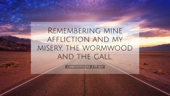 Picture 07 - Lamentations 3:19 KJV Desktop Wallpaper - Remembering mine affliction and my misery, the - Desktop Bible Verse Wallpaper
