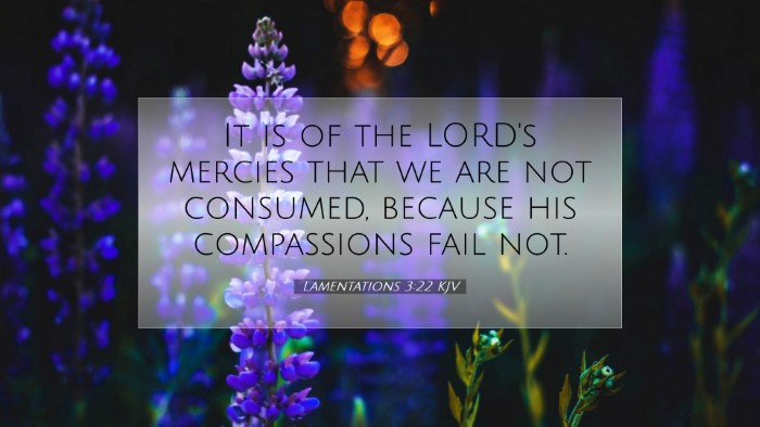 Picture 07 - Lamentations 3:22 KJV Desktop Wallpaper - It is of the LORD's mercies that we are not - Desktop Bible Verse Wallpaper