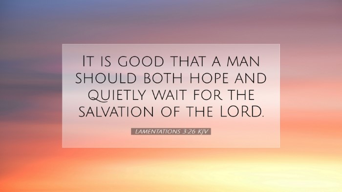 Picture 07 - Lamentations 3:26 KJV Desktop Wallpaper - It is good that a man should both hope and - Desktop Bible Verse Wallpaper