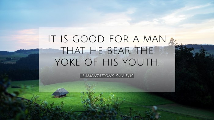 Picture 07 - Lamentations 3:27 KJV Desktop Wallpaper - It is good for a man that he bear the yoke of his - Desktop Bible Verse Wallpaper