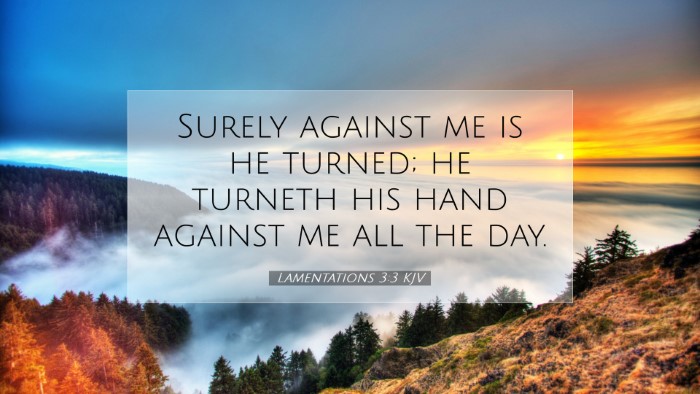 Picture 07 - Lamentations 3:3 KJV Desktop Wallpaper - Surely against me is he turned; he turneth his - Desktop Bible Verse Wallpaper