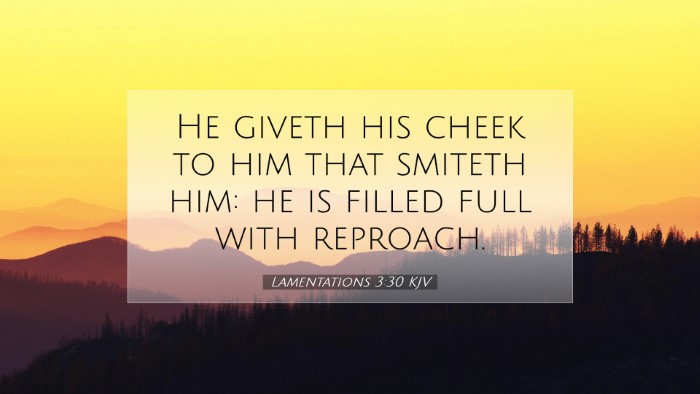Picture 07 - Lamentations 3:30 KJV Desktop Wallpaper - He giveth his cheek to him that smiteth him: he - Desktop Bible Verse Wallpaper