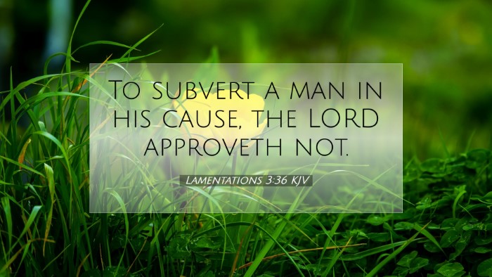 Picture 07 - Lamentations 3:36 KJV Desktop Wallpaper - To subvert a man in his cause, the LORD approveth - Desktop Bible Verse Wallpaper