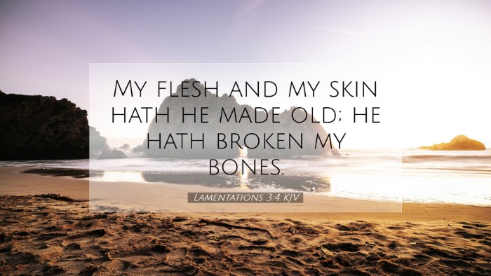 Picture 07 - Lamentations 3:4 KJV Desktop Wallpaper - My flesh and my skin hath he made old; he hath - Desktop Bible Verse Wallpaper
