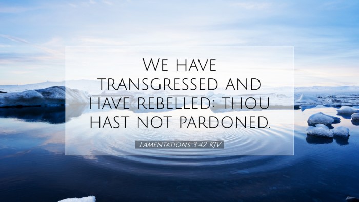 Picture 07 - Lamentations 3:42 KJV Desktop Wallpaper - We have transgressed and have rebelled: thou hast - Desktop Bible Verse Wallpaper