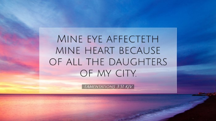 Picture 07 - Lamentations 3:51 KJV Desktop Wallpaper - Mine eye affecteth mine heart because of all the - Desktop Bible Verse Wallpaper