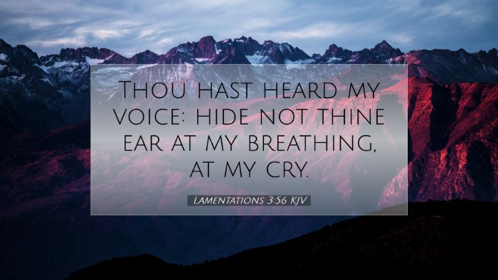 Picture 07 - Lamentations 3:56 KJV Desktop Wallpaper - Thou hast heard my voice: hide not thine ear at - Desktop Bible Verse Wallpaper