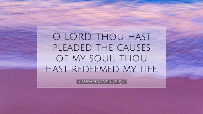 Picture 07 - Lamentations 3:58 KJV Desktop Wallpaper - O LORD, thou hast pleaded the causes of my soul; - Desktop Bible Verse Wallpaper