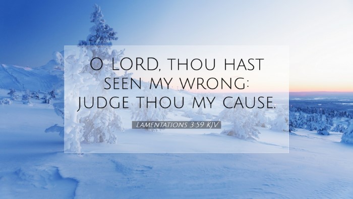 Picture 07 - Lamentations 3:59 KJV Desktop Wallpaper - O LORD, thou hast seen my wrong: judge thou my - Desktop Bible Verse Wallpaper