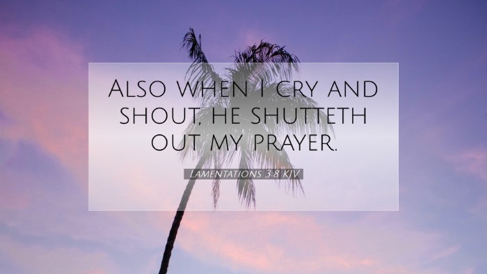 Picture 07 - Lamentations 3:8 KJV Desktop Wallpaper - Also when I cry and shout, he shutteth out my - Desktop Bible Verse Wallpaper
