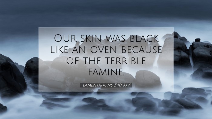Picture 07 - Lamentations 5:10 KJV Desktop Wallpaper - Our skin was black like an oven because of the - Desktop Bible Verse Wallpaper