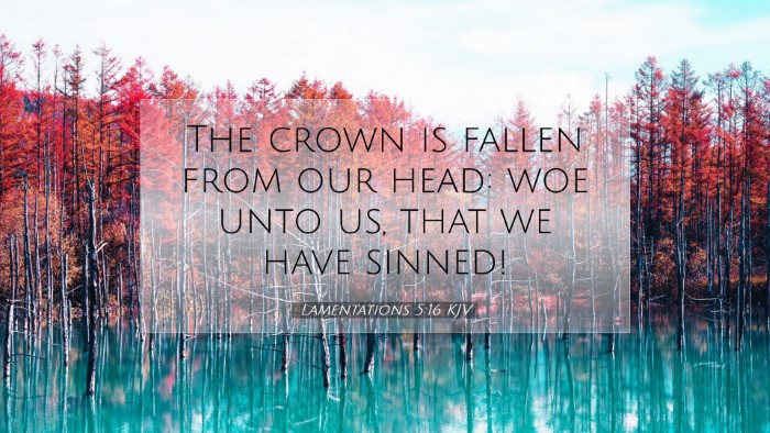 Picture 07 - Lamentations 5:16 KJV Desktop Wallpaper - The crown is fallen from our head: woe unto us, - Desktop Bible Verse Wallpaper