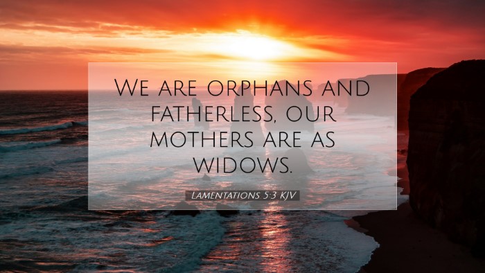 Picture 07 - Lamentations 5:3 KJV Desktop Wallpaper - We are orphans and fatherless, our mothers are as - Desktop Bible Verse Wallpaper