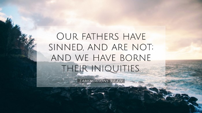 Picture 07 - Lamentations 5:7 KJV Desktop Wallpaper - Our fathers have sinned, and are not; and we have - Desktop Bible Verse Wallpaper