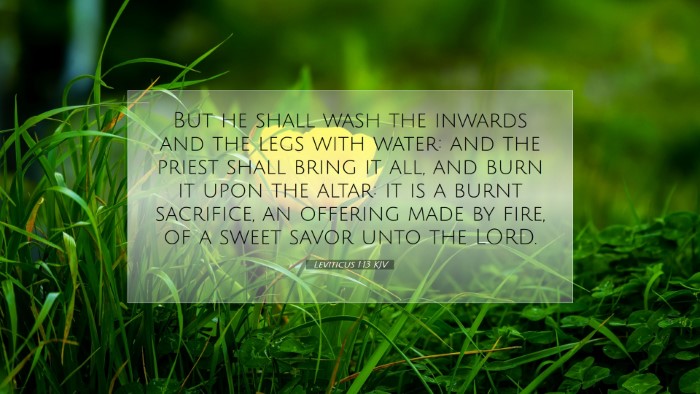 Picture 07 - Leviticus 1:13 KJV Desktop Wallpaper - But he shall wash the inwards and the legs with - Desktop Bible Verse Wallpaper