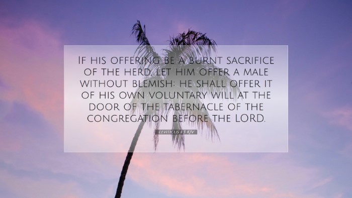 Picture 07 - Leviticus 1:3 KJV Desktop Wallpaper - If his offering be a burnt sacrifice of the herd, - Desktop Bible Verse Wallpaper